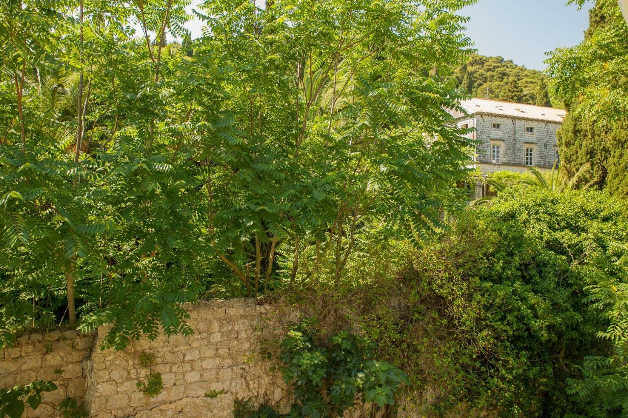 Niki Apartment Dubrovnik Eksteriør bilde