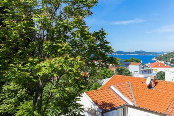 Niki Apartment Dubrovnik Eksteriør bilde