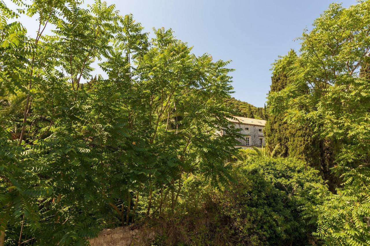 Niki Apartment Dubrovnik Eksteriør bilde